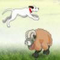   Sheep Jumper