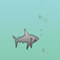   Shark Attack