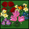 Bloomin Gardens